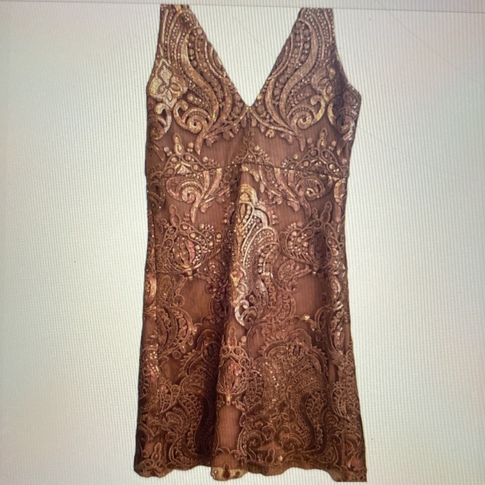 Altar'd State Mauve Lace Dress